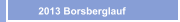    2013 Borsberglauf