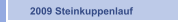 2009 Steinkuppenlauf